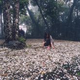 Thanh Vân 